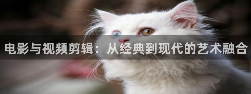 星空影院在线观看免费高清：电影与视频剪辑：从经典到现代的艺术融合
