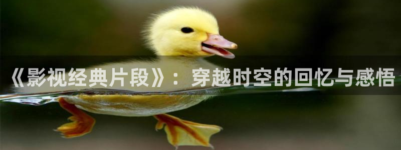 的星空