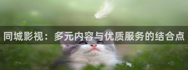 星空盒子电影影院