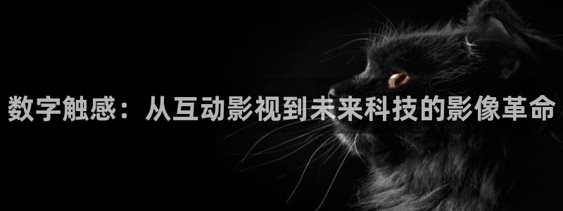 麻花天美星空mv免费观看完整版