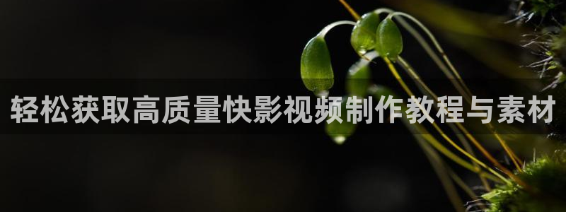 望星空视频