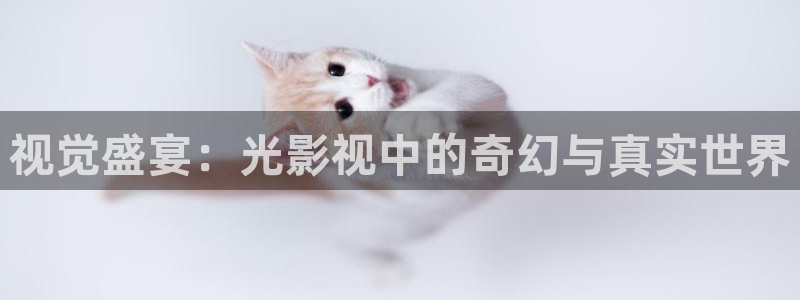 星空影院免费看电视剧柳舟记
