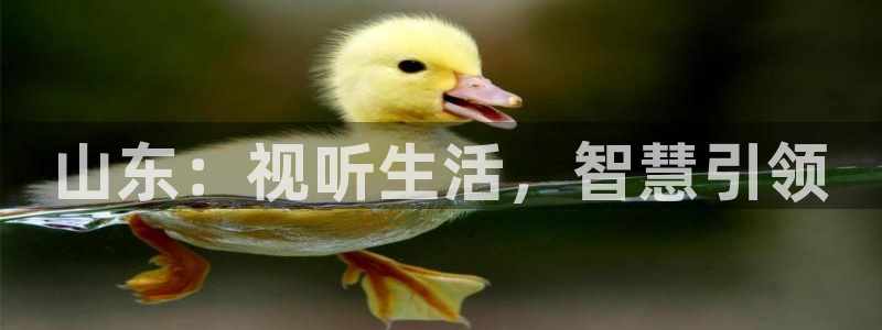 星空盒子电影影院