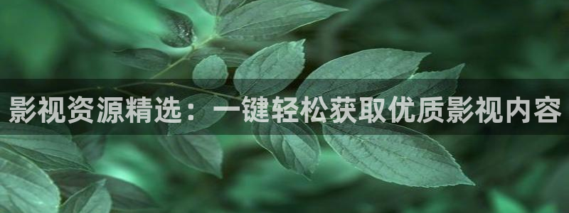 星空影院高清电影电视剧免费观看